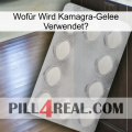 Wofür Wird Kamagra-Gelee Verwendet 16